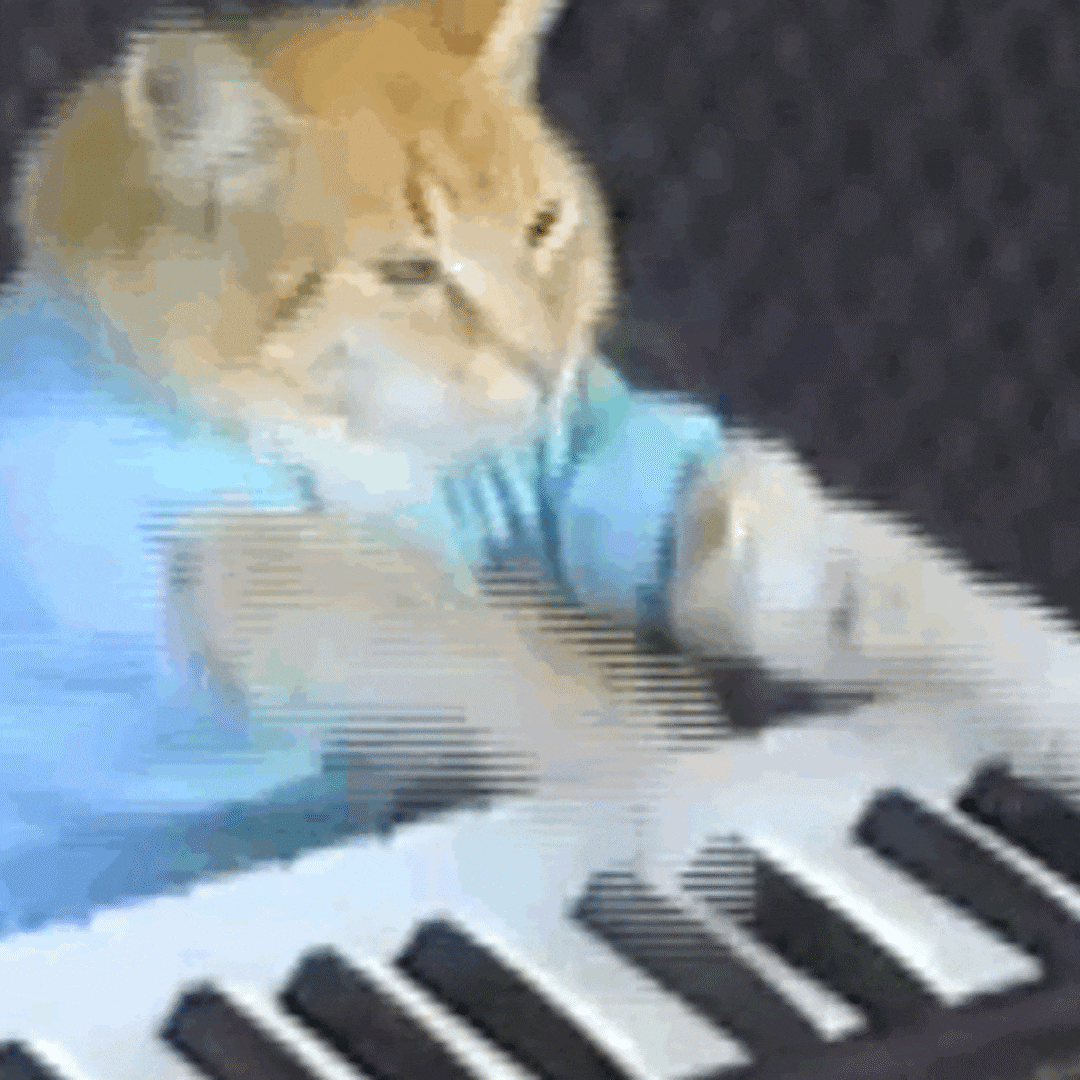 Музыка игра мем. Гифка кот на пианино. Кот-музыкант. Котик на пианино. Кот играет на пианино гиф.